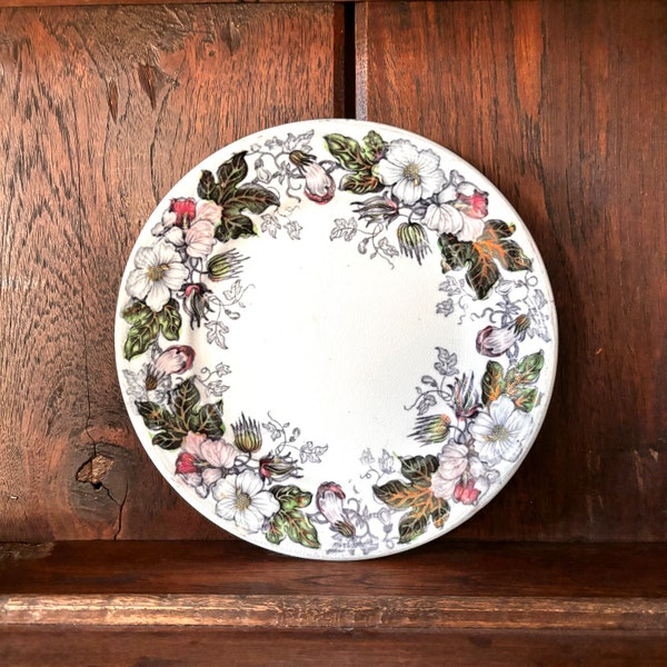 Antique Floral Plate with Gold Accents - Cotton Plant Pattern - J Furnival