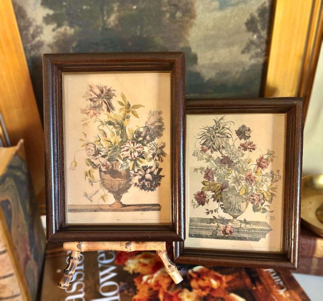 Set of 2 Vintage Framed Botanical Prints - Flowers in Urns - Etsy