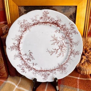 Puede incluir: Un plato redondo de cerámica blanca con borde festoneado, que presenta un detallado patrón floral de transferencia en color marrón que rodea el borde y se extiende hacia el centro con delicadas ilustraciones botánicas de varias flores.