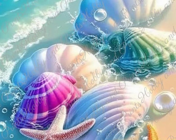 glänzende Muscheln am Strand