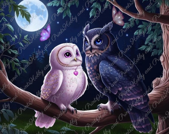 süßes Eulenpärchen bei Nacht