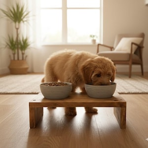 Small Dog Feeding Station | Raised Bowl Stand | Joint-Friendly Pet Feeding Station