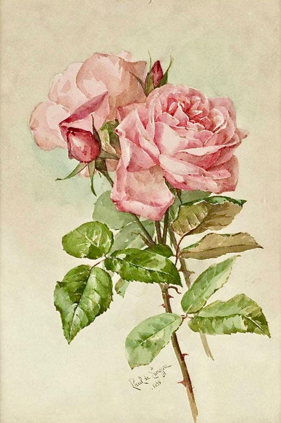 Vintage Victorian Pink Rose Leaves Graphic Image Art Fabric Block