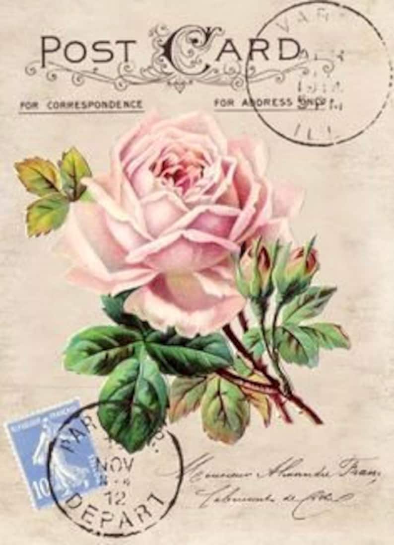 Vintage Pink Rose Stamp Postcard Graphic Image Art Fabric Etsy