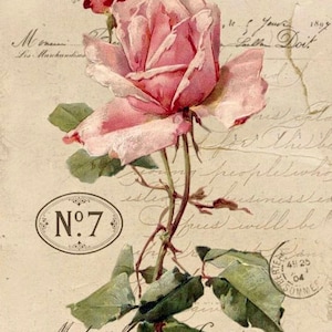 Look victorien vintage Rose Rose Cachet de la poste Français Image graphique Art tissu bloc Doodaba Barbiecore