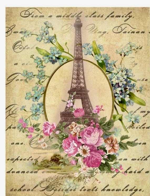 ❀ℳ's Gracy❀ Rose ×Eiffel Tower Dress Vintage Eiffel Tower Paris with pink roses