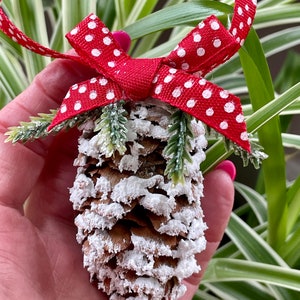 Pine Cone Red Evergreen Branches Snow Natural Genuine Christmas Ornament Shabby Chic Handmade Doodaba