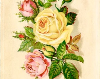 Vintage Victorian Yellow Pink Rose Graphic Image Art Fabric Block Doodaba Barbiecore