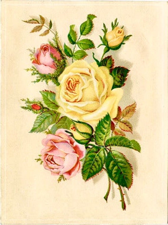 Vintage Yellow Pink Rose Graphic Image Art Fabric Block | Etsy