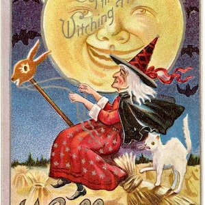 Halloween Witch Witchcore Moon Cat Graphic Image Art Fabric Block Doodaba