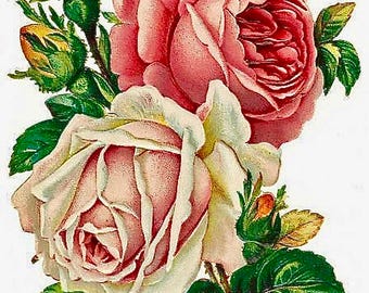 Vintage Victorian Pink Cream Yellow Rose Graphic Image Art Fabric Block Barbiecore Doodaba