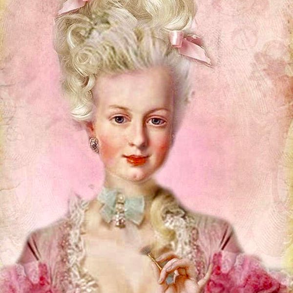 Vintage Marie Antoinette Pink Graphic Image Art Fabric Block Doodaba