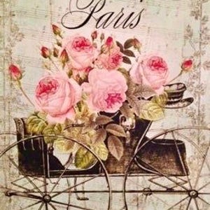 Vintage Paris Pink Roses Graphic Image Art Fabric Block Barbiecore Doodaba 4 x 6 Barbiecore