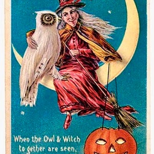 Vintage Victorian Halloween Witch Witchcore Owl Moon Graphic Image Art Fabric Block Doodaba