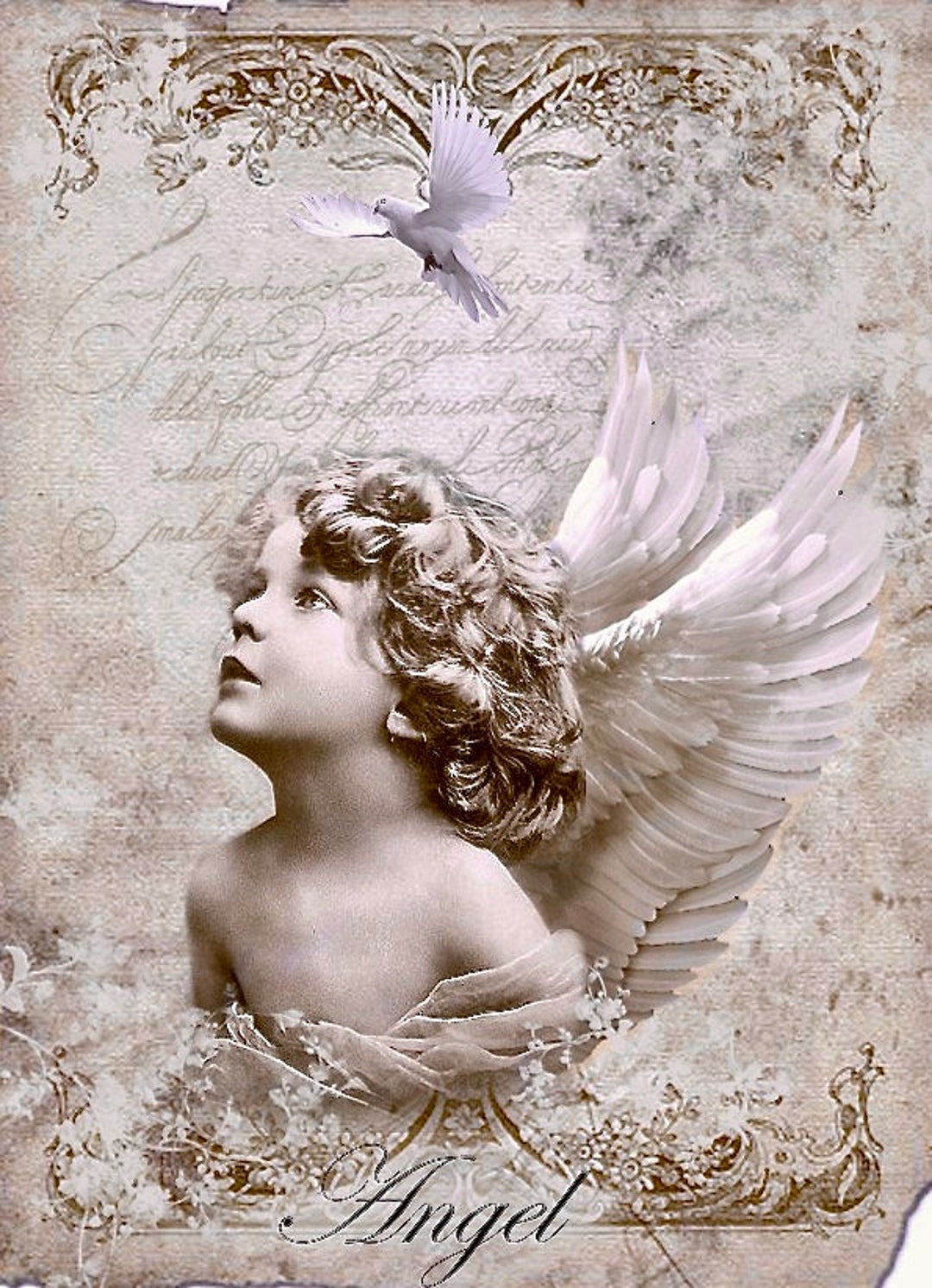 Vintage Lavender Gray Angel Photograph Purple Image Art Fabric