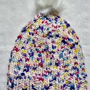 Hand Knit Merino Wool Beanie: Malabrigo Rasta Chunky Yarn Pompom Hat