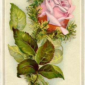 Vintage Victorian Pink Rose Art Fabric Block 7&quot; x 11&quot; Doodaba Barbiecore