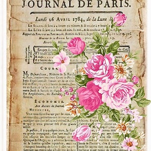 Vintage Victorian Pink Roses Paris French Graphic Image Art Fabric Block Barbiecore Doodaba