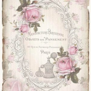 Vintage Victorian Paris Pink Rose Leaves Graphic Image Art Fabric Block Barbiecore Doodaba