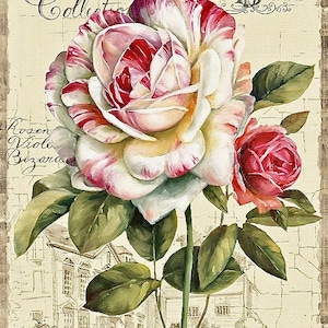 Tessuto artistico con immagine grafica di rose rosse e crema dall'aspetto vintage, blocco Doodaba