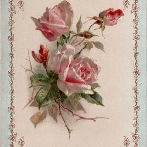 Vintage Victorian Pink Rose Bouquet Graphic Image Art Fabric Block Doodaba Barbiecore