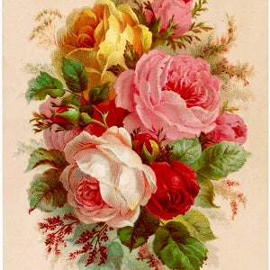 Vintage Victorian Red Rose Yellow Pink Graphic Image Art Fabric Block Barbiecore Doodaba