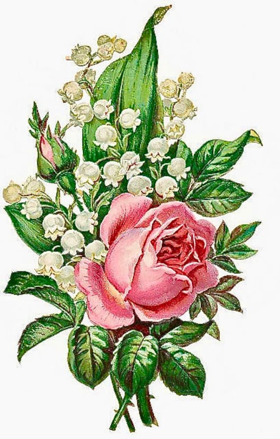 Vintage Pink Rose Lily of the Valley Graphic Image Art Fabric Etsy