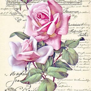 Immagine grafica del timbro postale francese con rosa rosa vintage in stile vittoriano, blocco di tessuto Barbiecore Doodaba