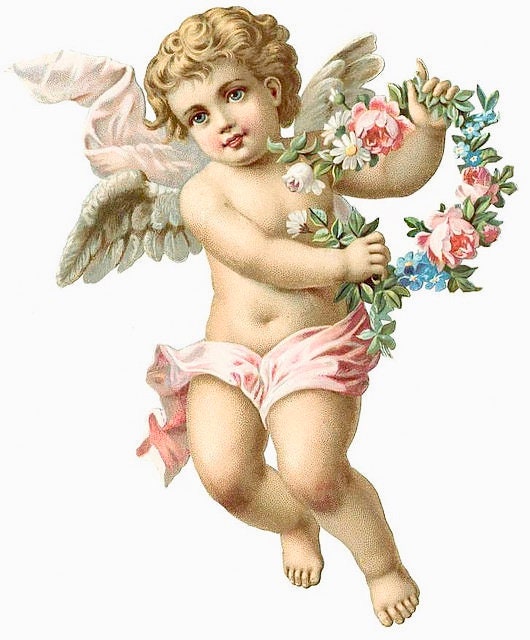 【極希少】Cherub Angel cards for children【絶版】 Resized_20200410_122903_3468.jpeg