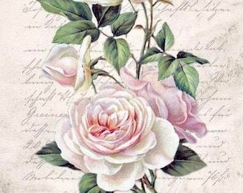 Vintage Victorian Pink Rose Fleurs Postcard Graphic Image Art Fabric Block Doodaba