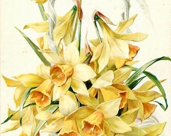 Vintage Victorian Spring Easter Yellow Daffodils Basket Graphic Image Art Fabric Block Doodaba