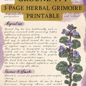 Könnte beinhalten: Eine druckbare Grimoire-Seite mit dem Text "Ground Ivy" und "3 Page Herbal Grimoire Printable". Das Bild zeigt eine botanische Illustration von Gundermann mit lila Blüten und grünen Blättern. Der Hintergrund ist eine Aquarellwäsche.