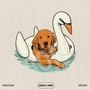 May include: Illustration of a golden retriever dog relaxing in a white swan-shaped pool float. The dog is orange and the swan has an orange beak. The image has the text "MONOLINES" and "PNG FILES" and "300 DPI".