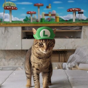 Może przedstawiać: Pręgowany kot w zielonej czapce Luigi z białym "L" z przodu. Kot stoi przed dioramą Super Mario Bros. z dekoracjami w kształcie grzyb&oacute;w i rur.