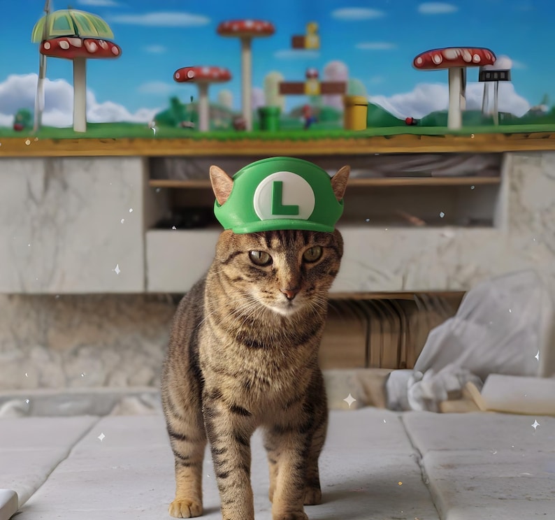 Może przedstawiać: Pręgowany kot w zielonej czapce Luigi z białym "L" z przodu. Kot stoi przed dioramą Super Mario Bros. z dekoracjami w kształcie grzyb&oacute;w i rur.