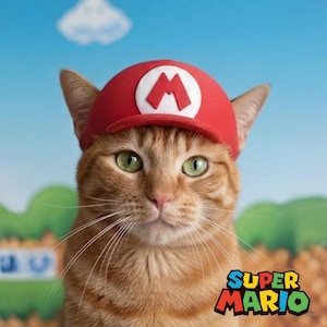 Może przedstawiać: Rudy kot w czerwonej czapce z białym logo 'M', przypominający postać z Super Mario. Kot ma zielone oczy i długie wąsy, na tle niebieskiego nieba i logo Super Mario.