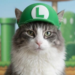 Może przedstawiać: Puszysty szaro-biały kot w zielonym kapeluszu z białym "L". Kot patrzy prosto w kamerę. Tło to scena z gry wideo Super Mario Bros.