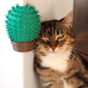以下が含まれることがあります： 緑色のサボテン型の猫用おもちゃと茶色の植木鉢が、トラ猫の隣にあります。猫は茶色、黒、白で、目を閉じています。おもちゃには、小さくて鋭いトゲがたくさんあります。