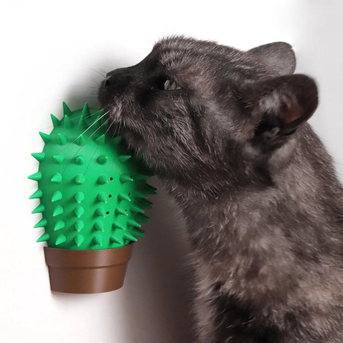 Kaktus-Katze-Selbstkratzer: 3D gedruckte Wand-Pflegebrste - Etsy.de