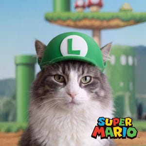 Może przedstawiać: Puszysty szaro-biały kot w zielonej czapce Luigi z białym "L" z przodu. Logo Super Mario znajduje się w prawym dolnym rogu. Tło przedstawia zielony krajobraz z rurami i grzybami.
