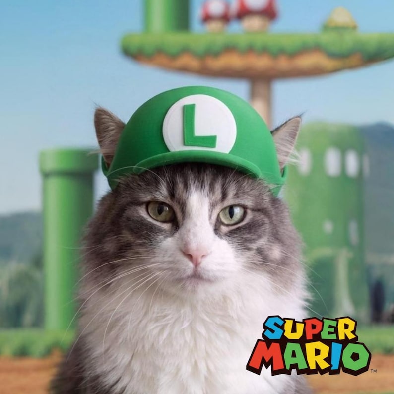 Może przedstawiać: Puszysty szaro-biały kot w zielonej czapce Luigi z białym "L" z przodu. Logo Super Mario znajduje się w prawym dolnym rogu. Tło przedstawia zielony krajobraz z rurami i grzybami.