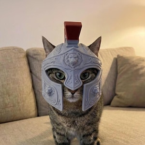 Könnte beinhalten: Eine getigerte Katze, die einen hellgrauen Helm im römischen Stil mit Löwenkopfdetails und einem roten Kamm trägt. Die Katze sitzt auf einem beigen Sofa und blickt direkt in die Kamera. Der Helm bedeckt den Kopf und die Ohren der Katze.