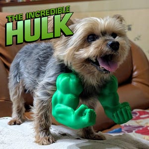 May include: A small dog with gray and tan fur wearing a green Hulk-themed arm accessory. The text "THE INCREDIBLE HULK" is displayed above the dog. The dog is smiling with its tongue out.