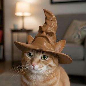May include: A ginger cat wearing a brown wizard's hat. The hat features a wide brim and a tall, pointed crown with a sculpted face. The cat has green eyes and long whiskers, creating a whimsical and magical theme.