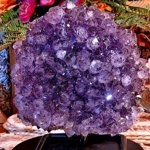 Purple Pine Cone Amethyst with Hematite Inclusions | Brilliant Brazilian Crystal Cluster | 8.14 lb Statement Specimen
