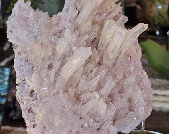 May include: A cluster of light pink quartz crystals with clear, pointed tips. The crystals are densely packed, creating a textured surface. The quartz is displayed on a clear stand, showcasing its natural beauty.