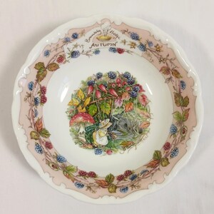 Rare Brambly Hedge - Etsy
