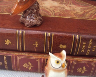 Vintage Pair of Miniature Owl Figurines Tiny Shelf Sitters Owl Lovers Gift Barn Owl Great Horned Owl