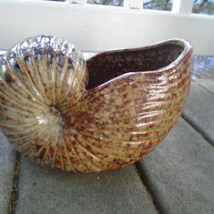 May include: A ceramic planter shaped like a nautilus shell with a glossy finish. The exterior features a spiral design with textured ridges and a mottled color palette of tan, brown, and dark blue tones. The interior is a deep, dark brown.