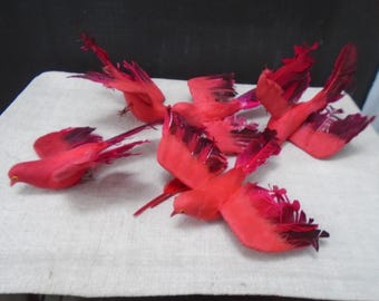 Vintage Lot of 5 Red Cardinals Real Feathers Wire Feet Floral Supply Picks Artificial Bird Ornaments NOS